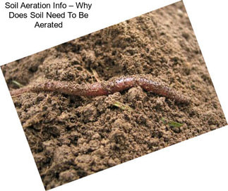 Soil Aeration Info – Why Does Soil Need To Be Aerated