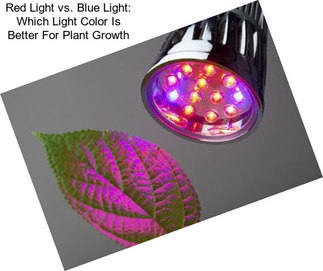Red Light vs. Blue Light: Which Light Color Is Better For Plant Growth