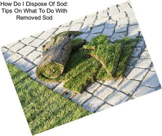 How Do I Dispose Of Sod: Tips On What To Do With Removed Sod