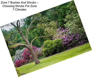 Zone 7 Bushes And Shrubs – Choosing Shrubs For Zone 7 Climates