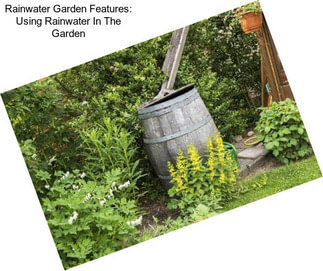 Rainwater Garden Features: Using Rainwater In The Garden