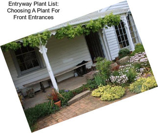 Entryway Plant List: Choosing A Plant For Front Entrances