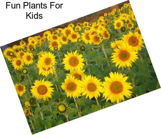 Fun Plants For Kids