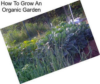 How To Grow An Organic Garden