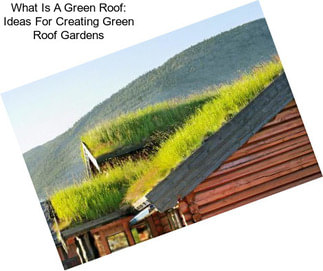 What Is A Green Roof: Ideas For Creating Green Roof Gardens