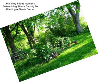 Planning Shade Gardens: Determining Shade Density For Planting A Shade Garden