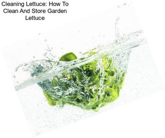 Cleaning Lettuce: How To Clean And Store Garden Lettuce