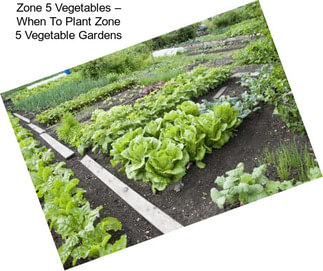 Zone 5 Vegetables – When To Plant Zone 5 Vegetable Gardens