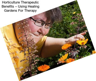 Horticulture Therapeutic Benefits – Using Healing Gardens For Therapy