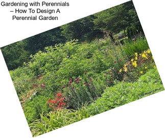 Gardening with Perennials – How To Design A Perennial Garden