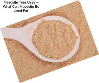 Mesquite Tree Uses – What Can Mesquite Be Used For