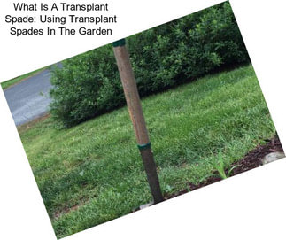 What Is A Transplant Spade: Using Transplant Spades In The Garden