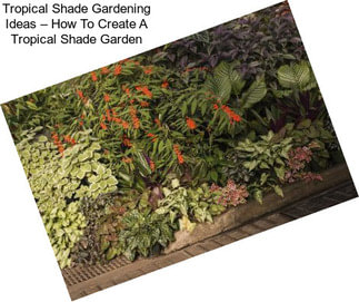 Tropical Shade Gardening Ideas – How To Create A Tropical Shade Garden