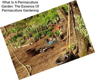 What Is A Permaculture Garden: The Essence Of Permaculture Gardening