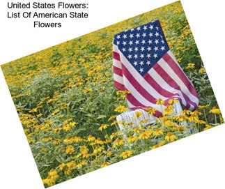 United States Flowers: List Of American State Flowers