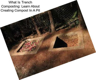 What Is Trench Composting: Learn About Creating Compost In A Pit