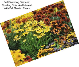 Fall-Flowering Gardens: Creating Color And Interest With Fall Garden Plants