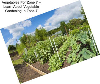 Vegetables For Zone 7 – Learn About Vegetable Gardening In Zone 7