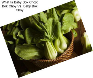 What Is Baby Bok Choy: Bok Choy Vs. Baby Bok Choy