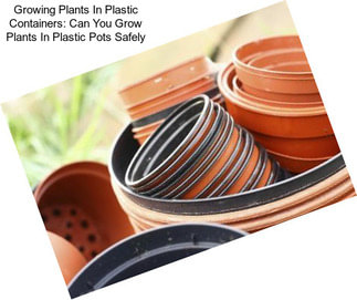 Growing Plants In Plastic Containers: Can You Grow Plants In Plastic Pots Safely