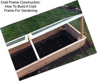 Cold Frame Construction: How To Build A Cold Frame For Gardening