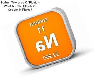 Sodium Tolerance Of Plants – What Are The Effects Of Sodium In Plants?