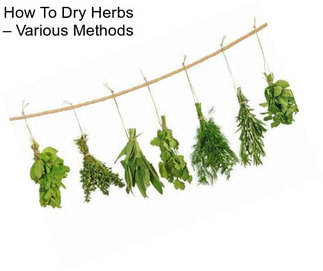 How To Dry Herbs – Various Methods