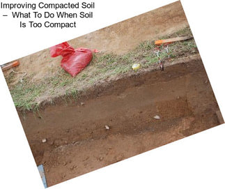 Improving Compacted Soil –  What To Do When Soil Is Too Compact