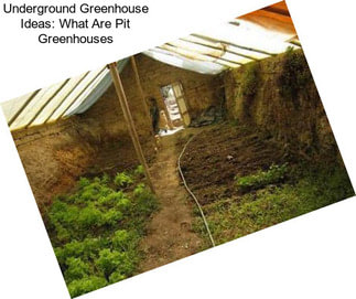 Underground Greenhouse Ideas: What Are Pit Greenhouses