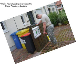 What Is Flame Weeding: Information On Flame Weeding In Gardens