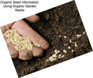 Organic Seed Information: Using Organic Garden Seeds