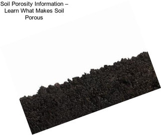 Soil Porosity Information – Learn What Makes Soil Porous