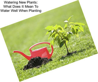 Watering New Plants: What Does It Mean To Water Well When Planting