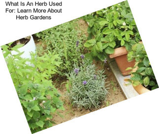 What Is An Herb Used For: Learn More About Herb Gardens