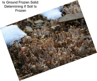 Is Ground Frozen Solid: Determining If Soil Is Frozen