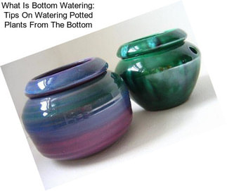 What Is Bottom Watering: Tips On Watering Potted Plants From The Bottom