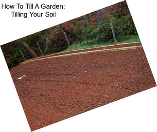 How To Till A Garden: Tilling Your Soil