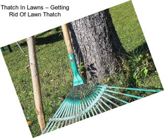 Thatch In Lawns – Getting Rid Of Lawn Thatch