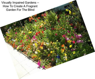 Visually Impaired Gardens – How To Create A Fragrant Garden For The Blind