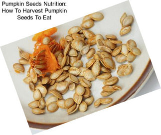 Pumpkin Seeds Nutrition: How To Harvest Pumpkin Seeds To Eat