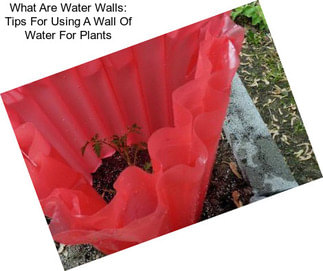 What Are Water Walls: Tips For Using A Wall Of Water For Plants