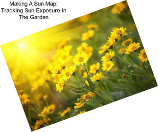 Making A Sun Map: Tracking Sun Exposure In The Garden