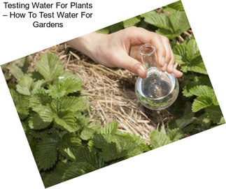 Testing Water For Plants – How To Test Water For Gardens