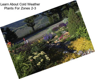 Learn About Cold Weather Plants For Zones 2-3