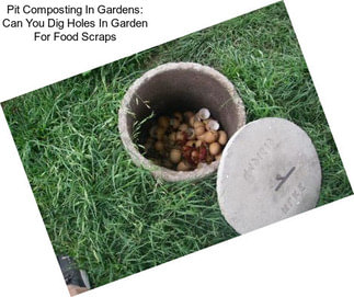 Pit Composting In Gardens: Can You Dig Holes In Garden For Food Scraps