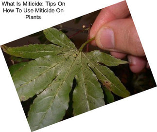 What Is Miticide: Tips On How To Use Miticide On Plants