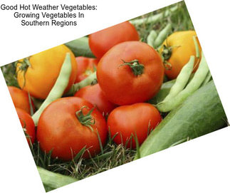 Good Hot Weather Vegetables: Growing Vegetables In Southern Regions
