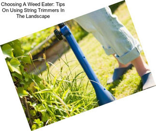 Choosing A Weed Eater: Tips On Using String Trimmers In The Landscape