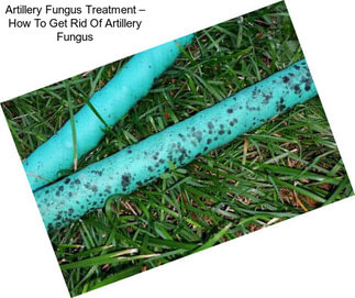 Artillery Fungus Treatment – How To Get Rid Of Artillery Fungus