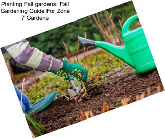 Planting Fall gardens: Fall Gardening Guide For Zone 7 Gardens